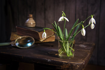 des perce-neige et quelques vieux objets sur un tabouret d'époque contre un mur de bois rustique som