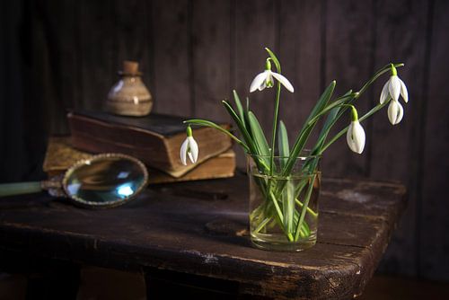 snowdrops and some old objects on a vintage stool against a dark rustic wooden wall, spring greeting