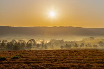 Sunrise in the Limburg hills with ground fog by Kim Willems
