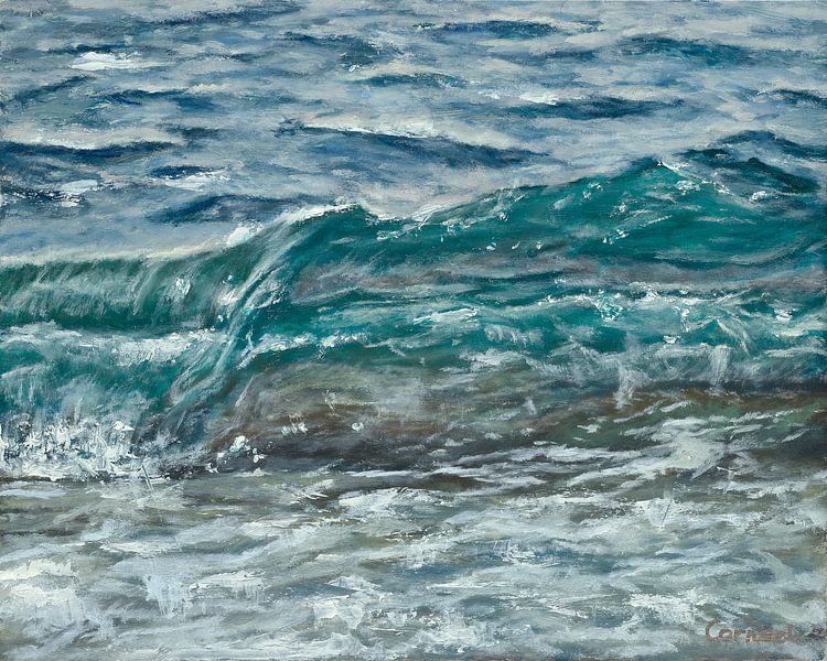 Vague dans la mer par conny-van-gaans