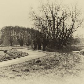 Alt-holländische Atmosphäre. von Marianne van der Westen