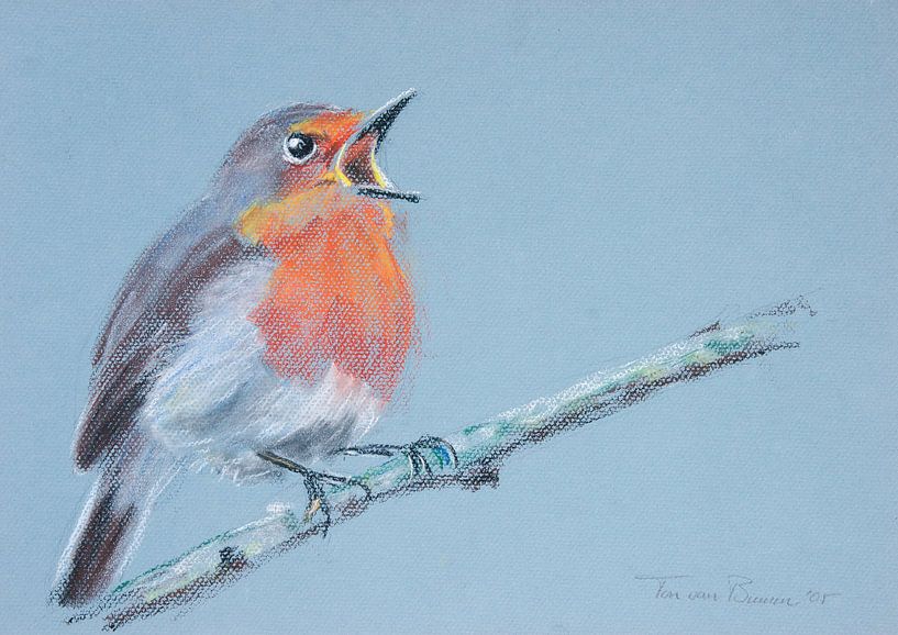 Robins by Ton van Buuren
