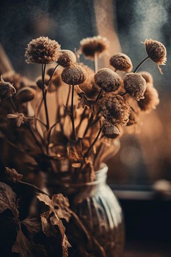 Fleurs sèches No 8