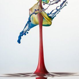 Liquid ART - XXL van Stephan Geist