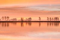 Early Morning