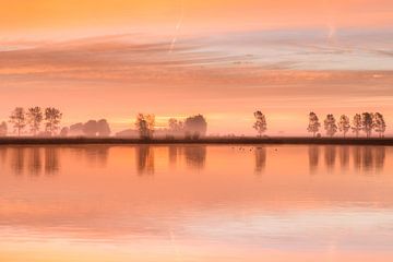 Early Morning by Ellen van den Doel