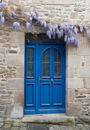 blue doors and old house with wisteria flowers in franch