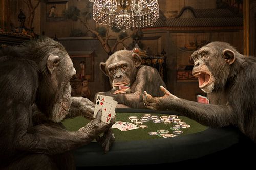 MonkeyPoker