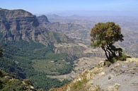 Simien-Gebirge, Äthiopien von Harold de Groot Miniaturansicht