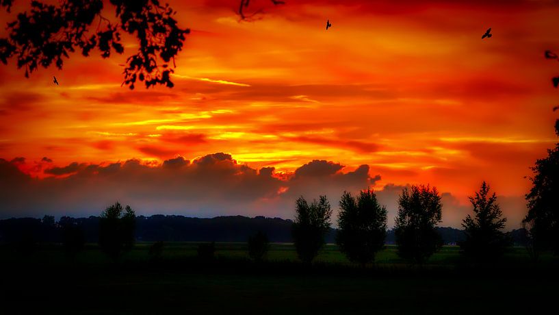 Coucher de soleil sur la Veluwe par Liberty Biesma