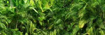 wilde groene jungle van Dörte Bannasch