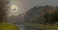 Geese in moonlight von Irene Lommers Miniaturansicht