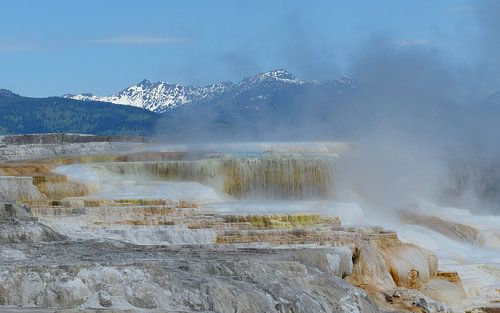 Mammoth Hot Spring Terraces in Yellowstone
