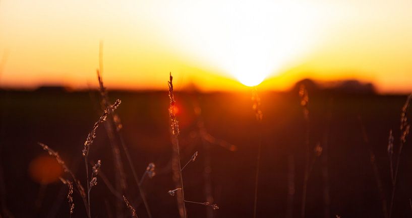 Evening light on Walcheren by Percy's fotografie