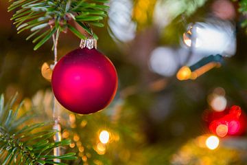 Rode kerstbal met  lichtjes in de kerstboom van Wim Stolwerk