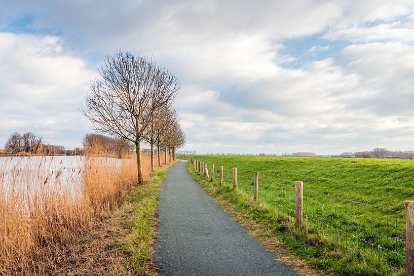 Fietspad langs het water van een oude kreek von Ruud Morijn