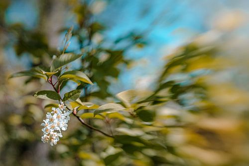 Angenehme Berührung