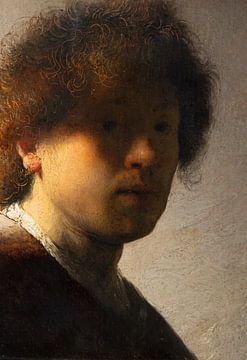 Der junge Rembrandt kurz vor der Vollendung von Truckpowerr