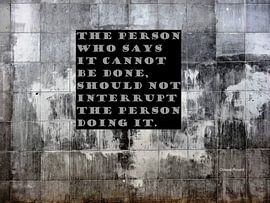 The Person Who Says It Cannot Be Done...