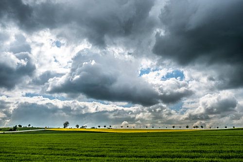 paysage