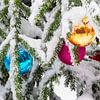 Weihnachtsbaumkugeln im Thüringer Wald von Rico Ködder