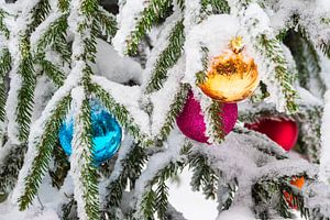 Weihnachtsbaumkugeln im Thüringer Wald