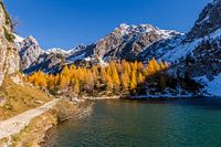 Berglandschaft "Herbst am Tappenkarsee"