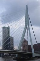 Erasmus-Brücke Rotterdam