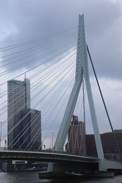 Erasmus Bridge Rotterdam by Dick Schouten