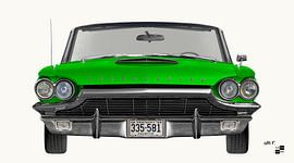 Ford Thunderbird Flair Bird