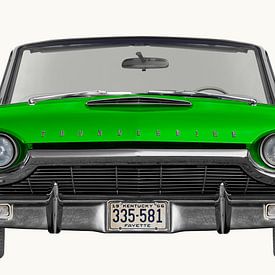 Ford Thunderbird Flair Bird von aRi F. Huber