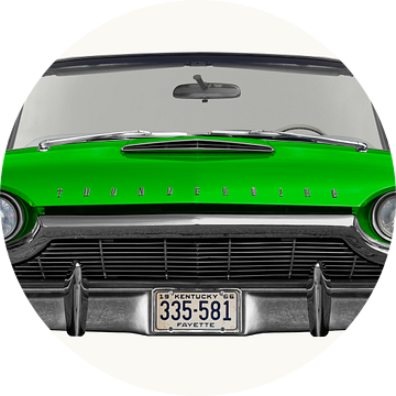 Ford Thunderbird Flair Vogel