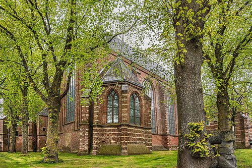 Enkhuizen's Westerkerk seen through the trees in spring colour