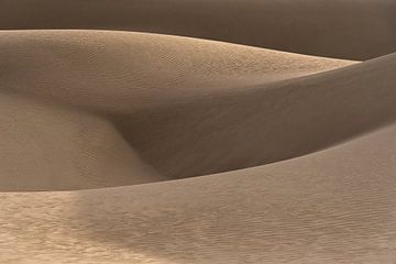 Dunes dorées dans le désert d'Iran