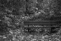 eenzaam bankje in het bos, zwart wit