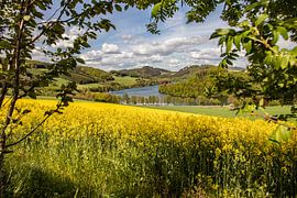 Hennesse by Robin Feldmann