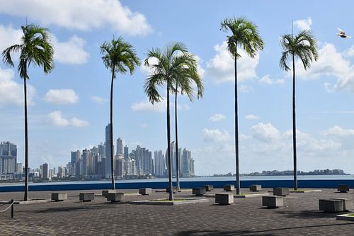 Het verlaten park van Banera