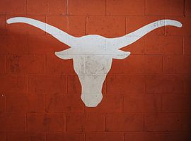 Texas Longhorns by Atelier Liesjes