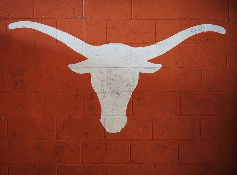 Texas Longhorns par Atelier Liesjes