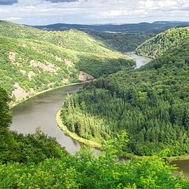 View of the Saar Loop from the treetop walk observation tower. A viewing tower in the Saarland by Martin Köbsch