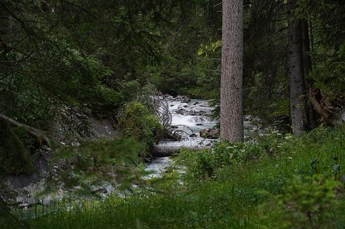 doorkijk op de rivier