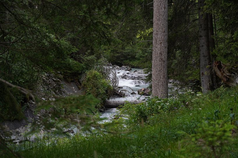 vue sur la rivière par foto's van gijs