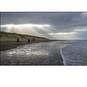 Texel eXperience Profile picture