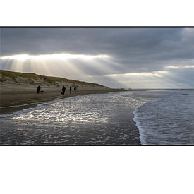 Texel eXperience profielfoto