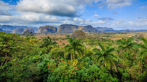 Viñales valley in Cuba