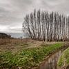Brabantse Landschappen von Edwin Wiekens