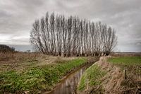 Brabantse Landschappen