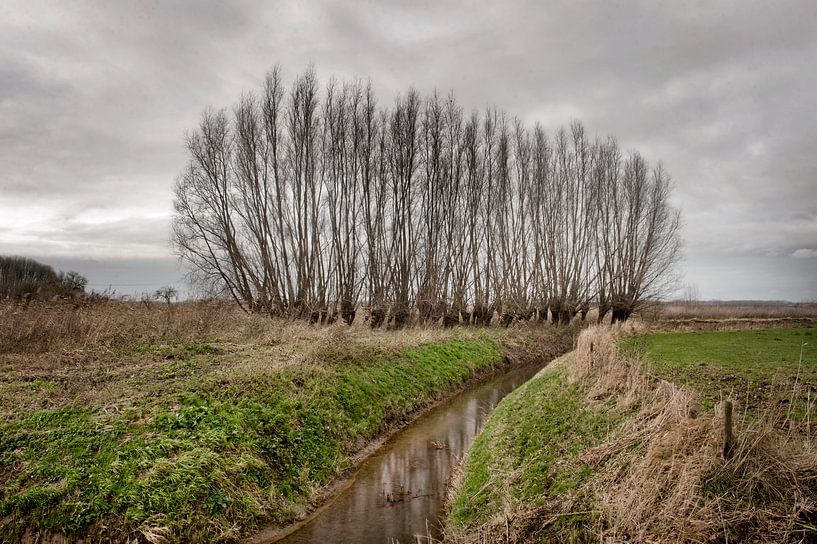 Brabantse Landschappen by Edwin Wiekens