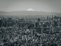 Contraste des perspectives : la ligne d'horizon de Tokyo et son éternel pendant, le mont Fuji