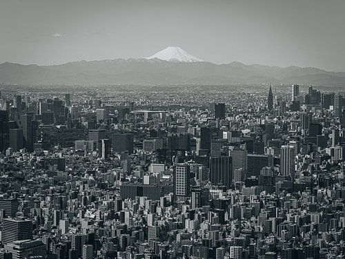 Contrasten in Perspectief: Tokyo's Skyline met de Eeuwige Tegenhanger, Mount Fuji van Collin Arts